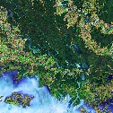 Deltas on the Atchafalaya River and the Wax Lake outlet