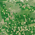 Farms in Kansas